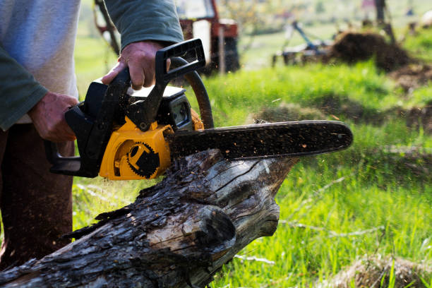  Powell, WY Tree Care Pros
